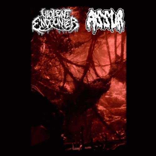 Assur (BEL) : Assur - Violent Encounter